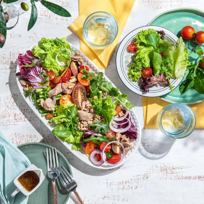 葡眾樟芝益菌絲體的產品特色：高效保健，完整教學及食用指南