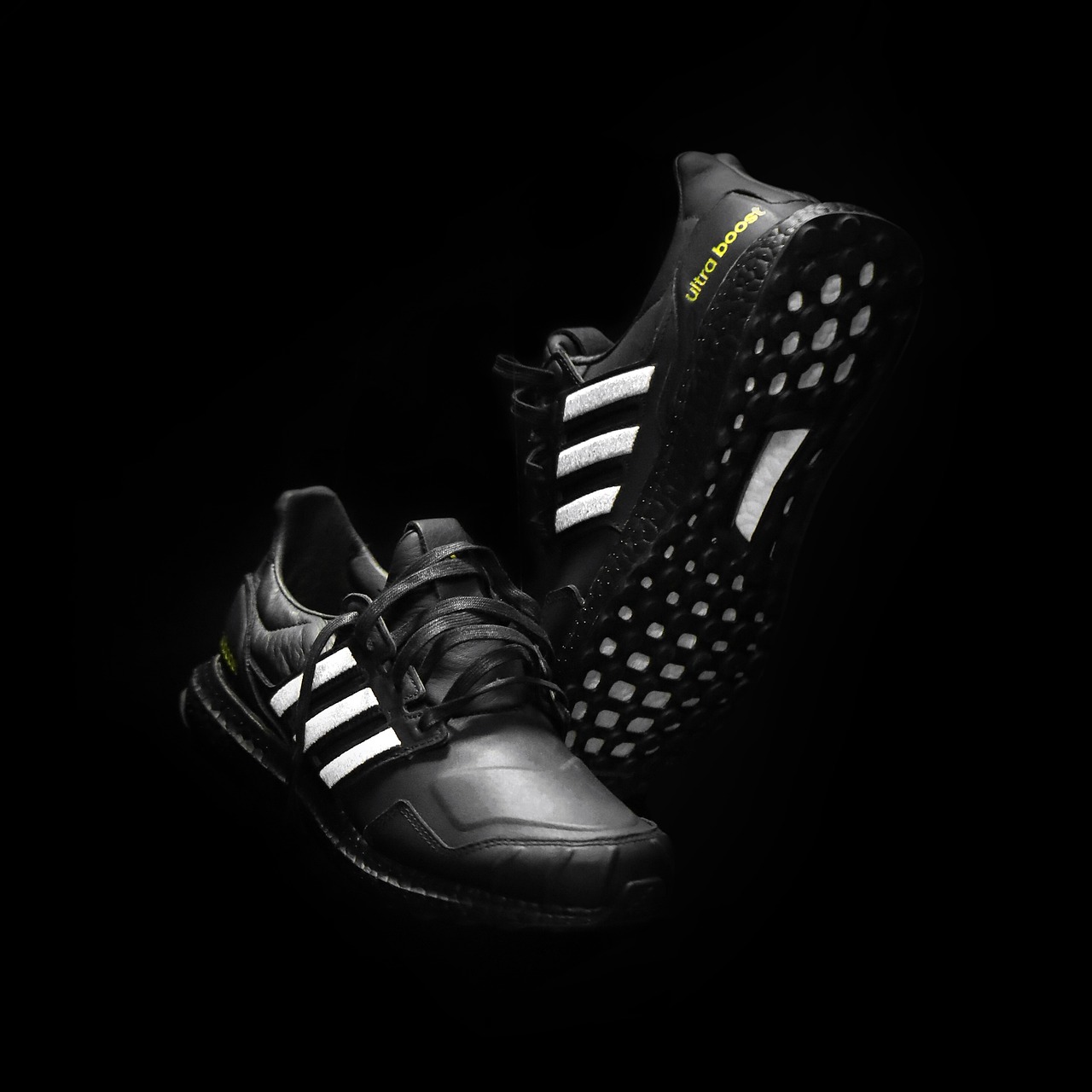 免疫力提升的關鍵：葡眾益生菌與樟芝產品完整介紹