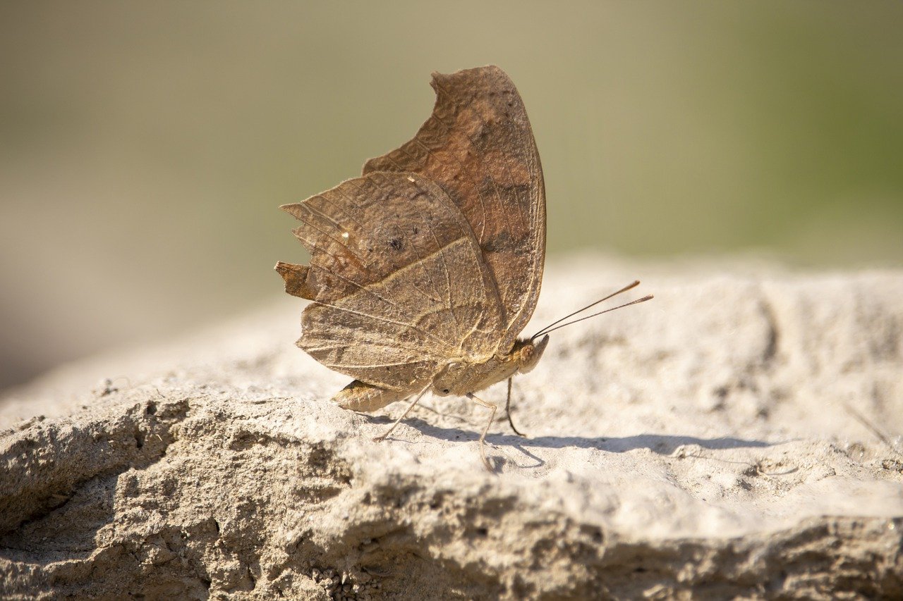 葡眾產品副作用：適合消費者的安全建議與完整使用指南