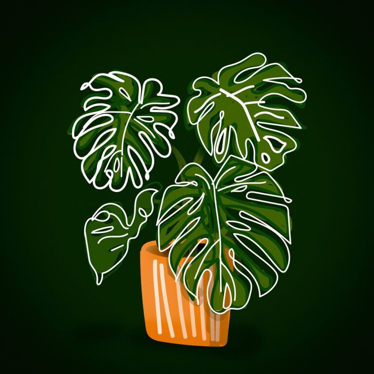 monstera