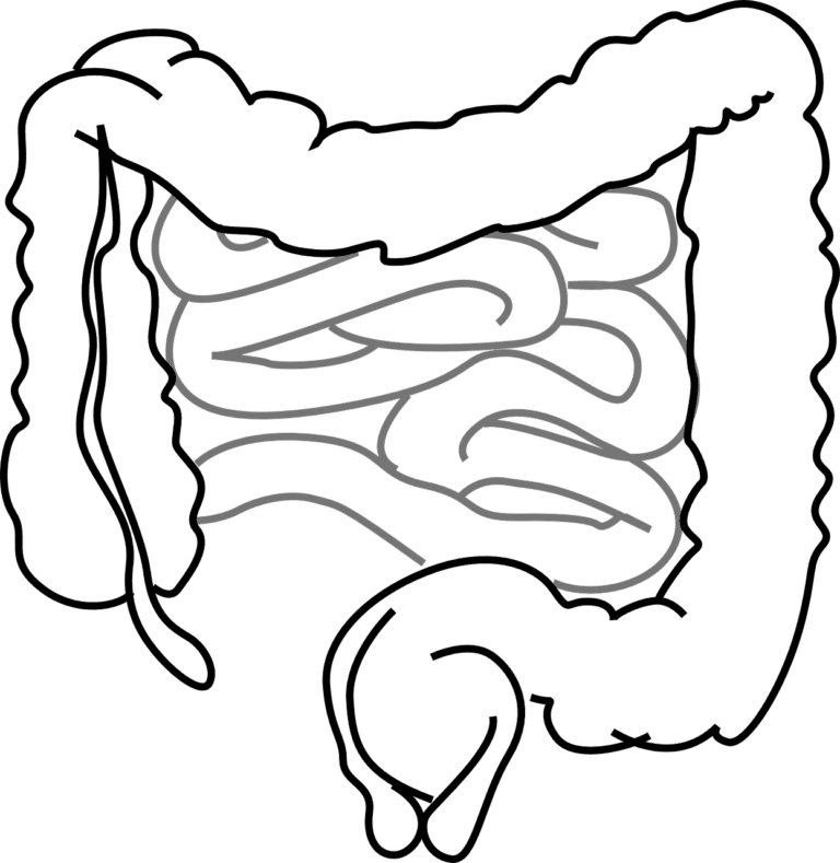 葡眾康爾喜益生菌如何改善日常消化問題？醫師完整解說！