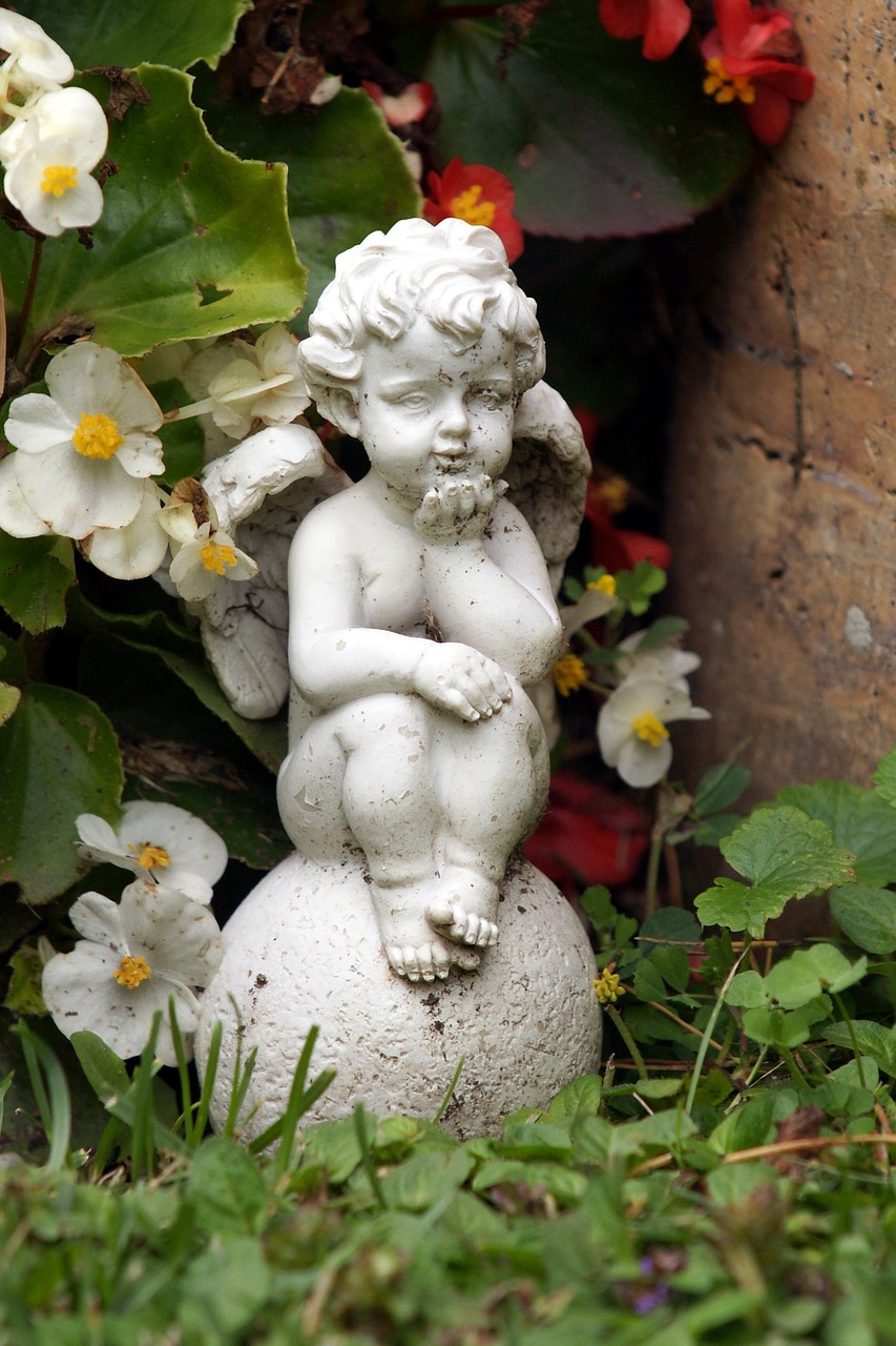 葡眾健康飲品的搭配建議：高效提升吸收率的完整教學