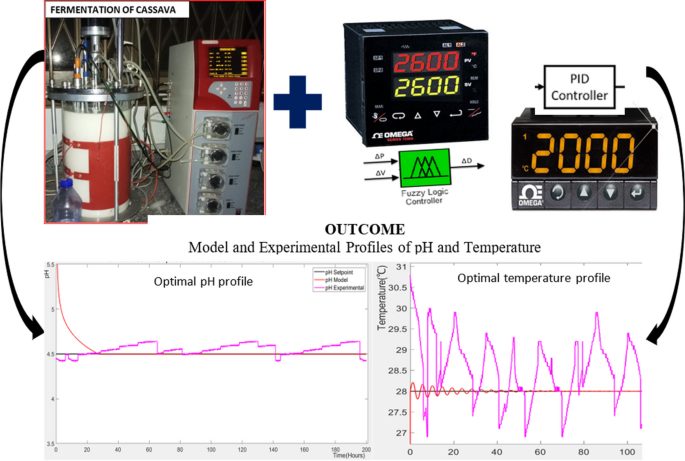 葡眾樟芝益菌絲體的製造工藝：完整解析高效生產與品質管控秘訣