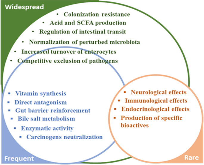 康貝兒益生菌的使用頻率：完整指南，高效攝取的秘訣