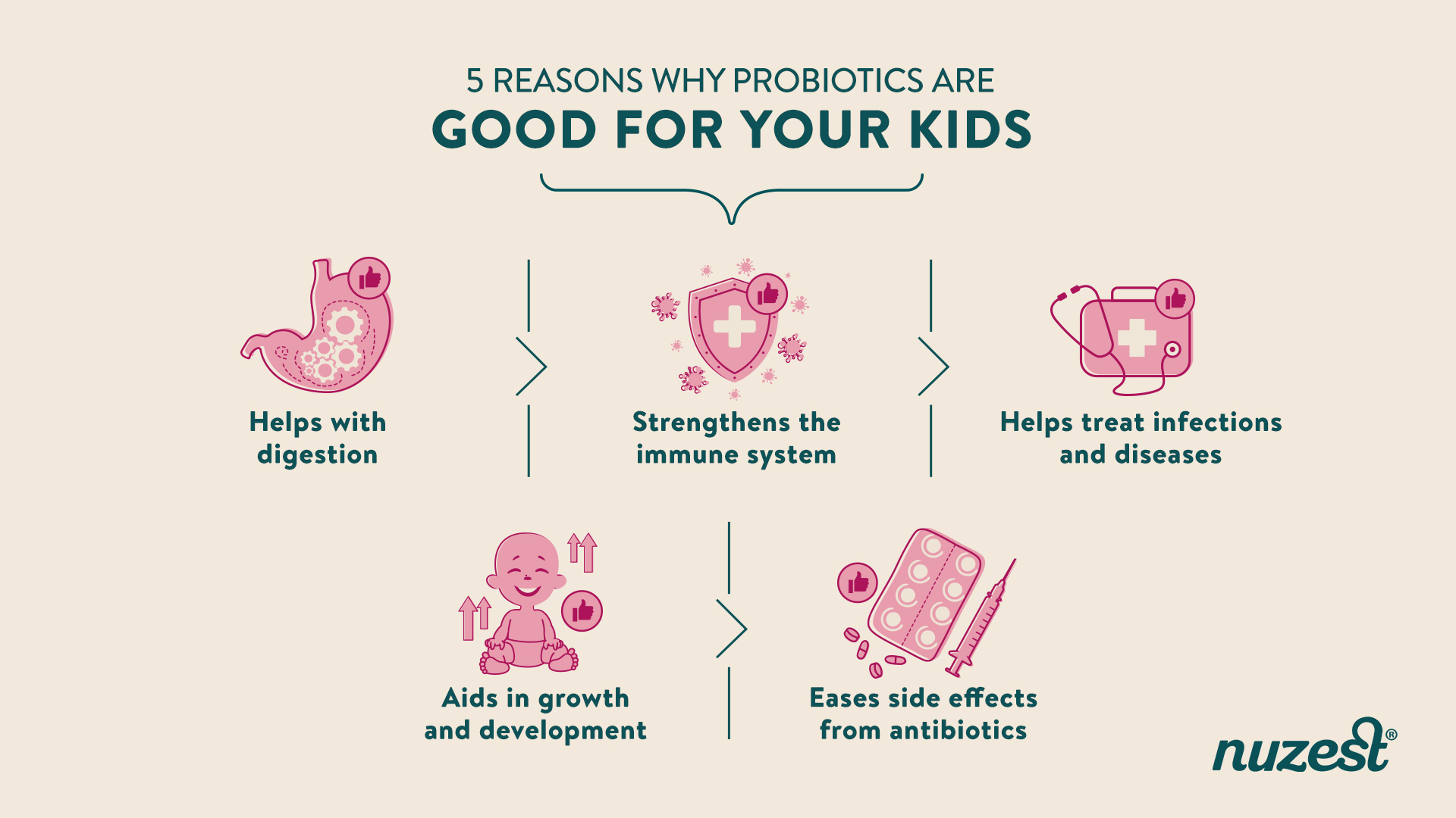 葡眾益生菌的使用方法：完整教學與高效吸收秘訣