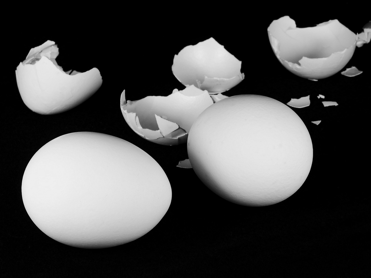 葡眾銀燦餐包的營養特色與口味選擇：素食者與上班族的便捷健康飲食攻略