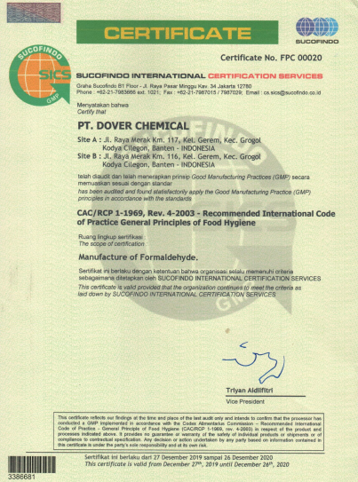 葡眾樟芝益菌絲體的來源說明：揭秘高效益菌絲體的生產秘訣