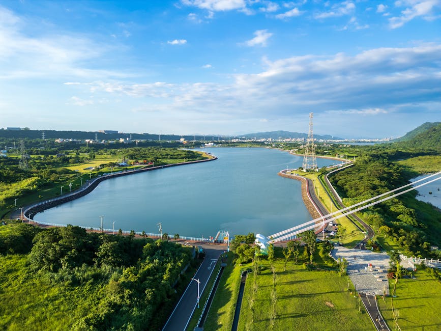 葡眾鐵三角進階指南：995+樟芝益+康爾喜1+1+1>3疊加效應，長期飲用全解析