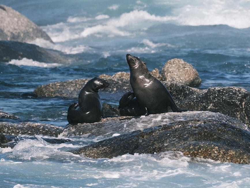 葡眾995營養液「黃金色澤」解密：非基改大豆發酵的天然秘密