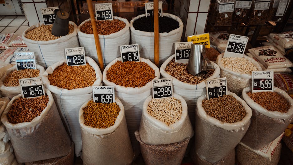 葡眾樟芝益的日常服用注意事項：高效服用指南與注意事項