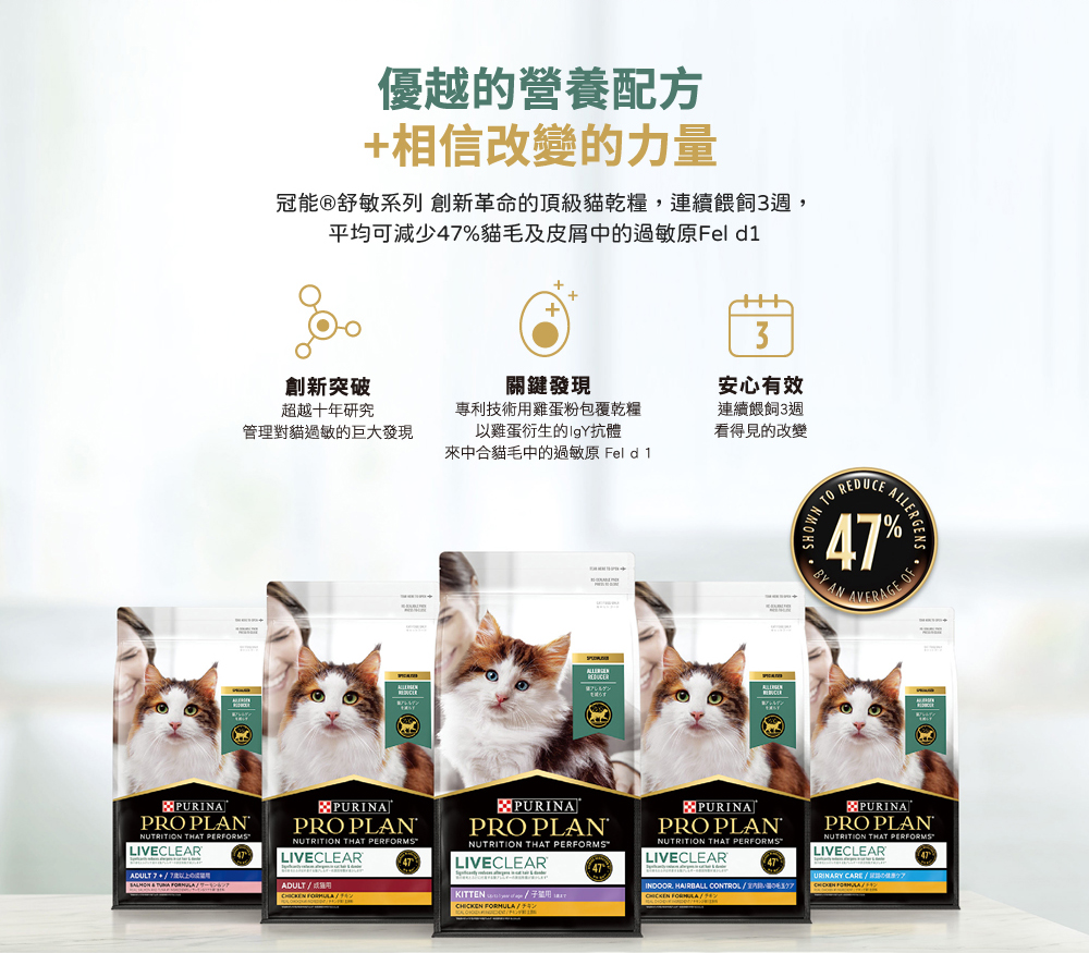 貓過敏原大解密：揭曉 Fel d1 的秘密，擺脫過敏困擾