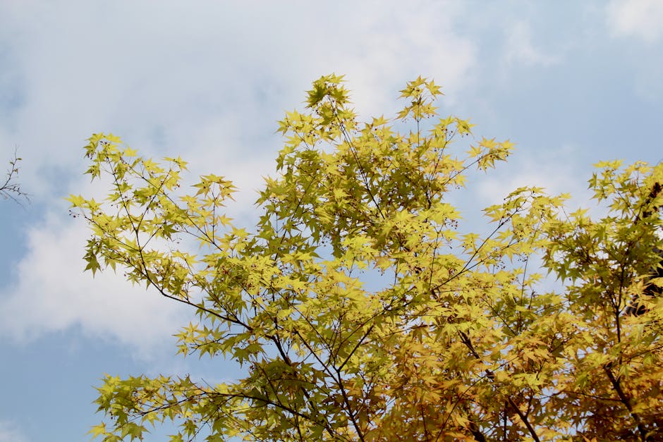 ビタミンC美容液を使用する際の注意点｜効果的な使い方と美肌への秘訣