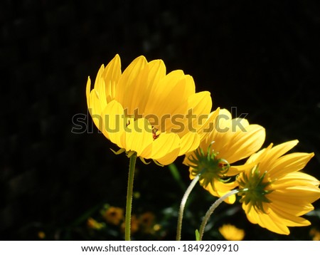 曬傷後如何快速修復及美白？皮膚科醫師教你高效曬後修復攻略！