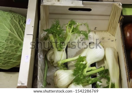 酪梨的營養價值：心血管與消化健康的美味選擇