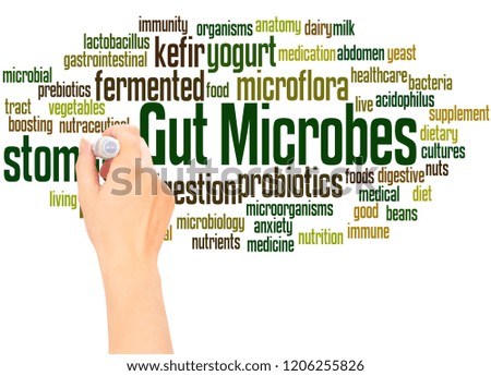朝鮮薊助攻腸道健康！秘訣就在豐富纖維裡