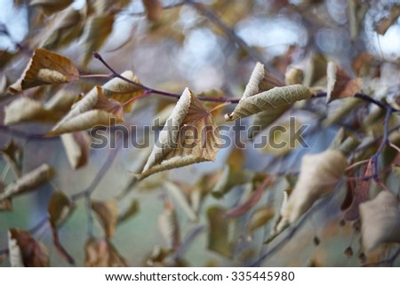 皮膚乾燥出油是水油不平衡嗎？ 必學！高效攻略，終結T字油、臉頰乾，重建健康肌膚！