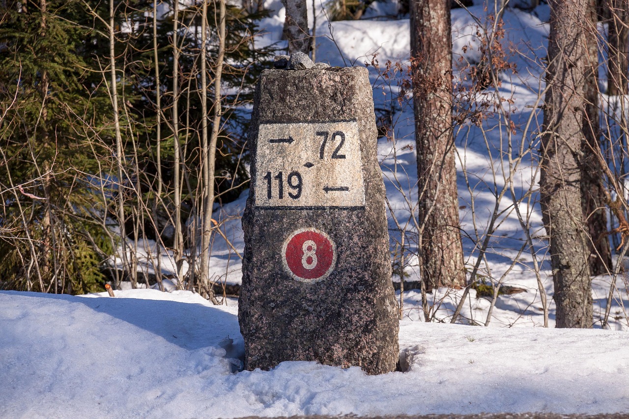 Gogoro智慧儀表板功能解析：提升騎行體驗的科技亮點！高效掌握騎乘秘訣