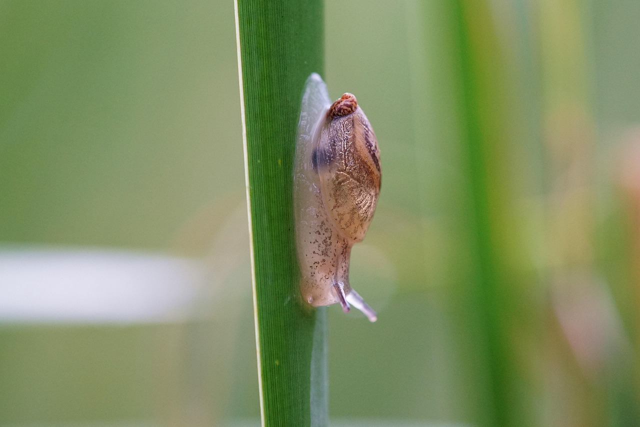 汽車雨刷更換與保養技巧：保持視野清晰的關鍵方法