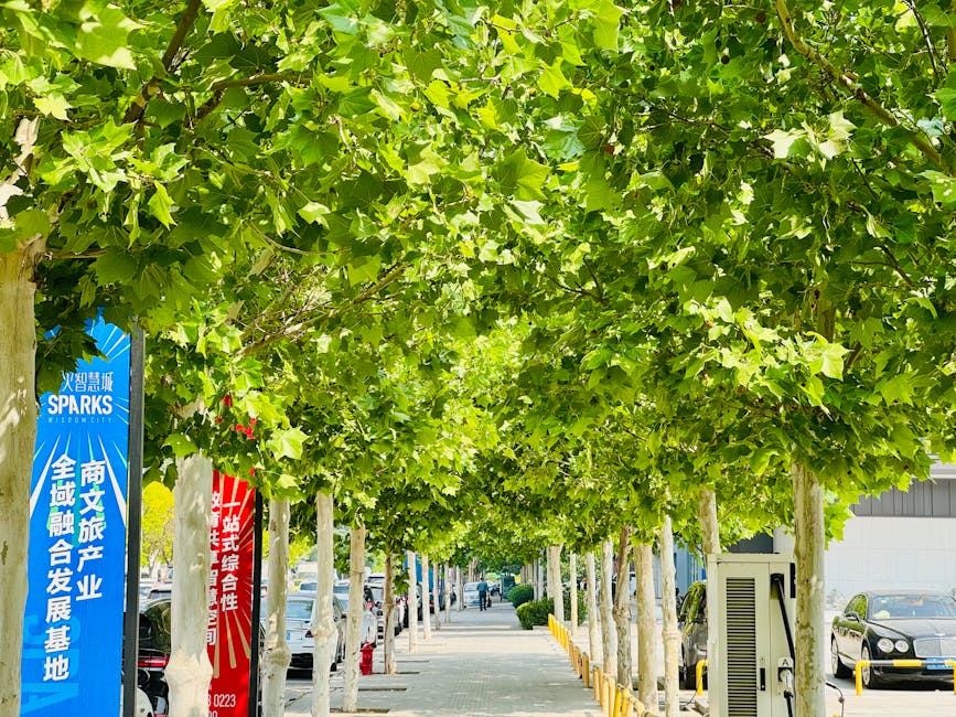 中華隊奪冠！電動車充電優惠大放送，最高享千元充電金！