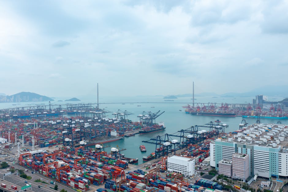 7-11 vs OK Mart 蝦皮物流進度查詢功能：掌握包裹動態，你的最佳選擇