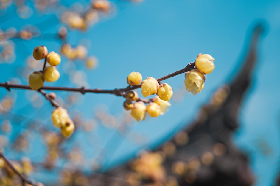 牛皮氣泡袋成本控制策略：中小企業高效採購指南