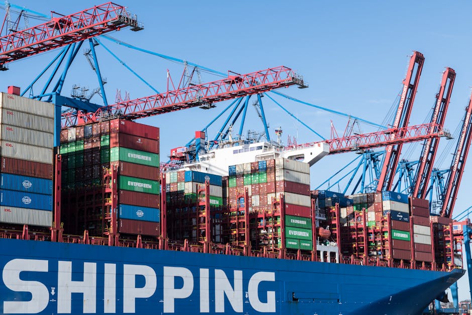 蝦皮海外物流查詢教學：高效掌握包裹動態，避免退件秘訣！