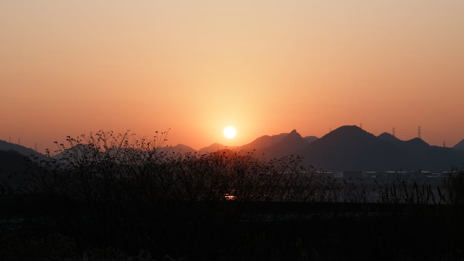 7-11 ibon 郵寄操作流程大公開！輕鬆寄件秘笈一次看懂