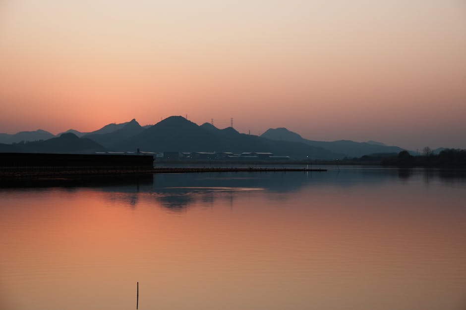 物流公司提供的增值服務指南：打造高效物流流程，掌握進階秘訣