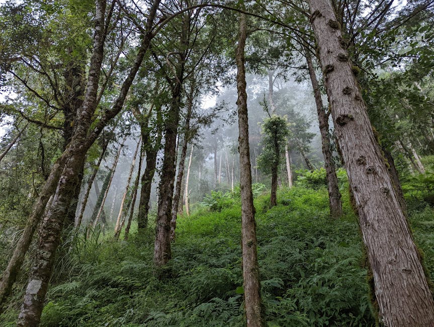 氣泡布華麗大變身！居家創意新妙用大公開