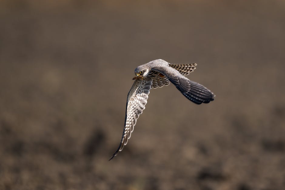 店到店包裹取件時效指南：七天內領取，勿讓包裹退回