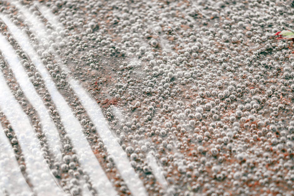 如何妥善處理氣泡布廢棄物？完整教學及環保秘訣！