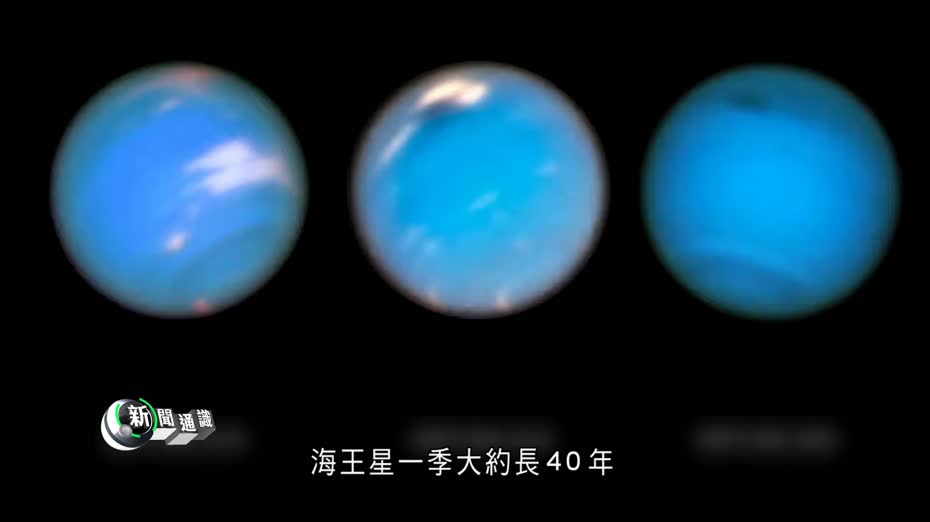 氣泡布的發展歷史：從壁紙到物流巨星的蛻變之路