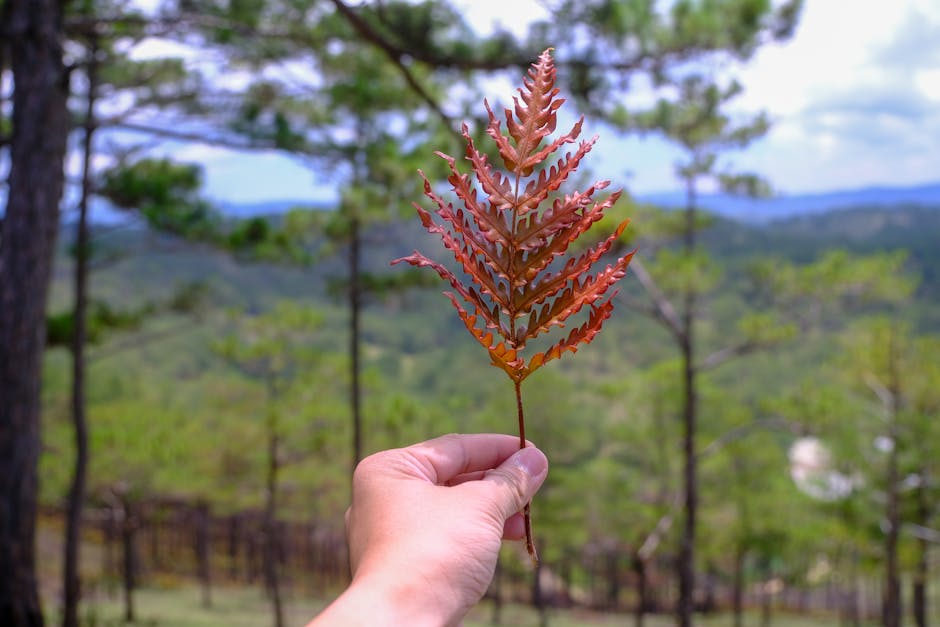 氣泡袋是平件還是包裹？搞懂分類輕鬆寄件不煩惱！