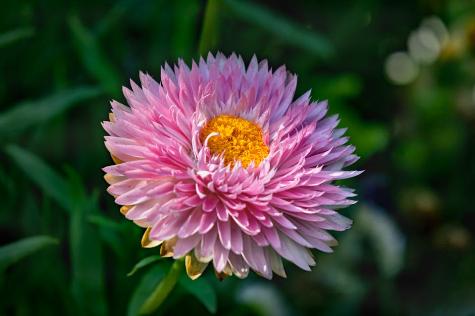泡泡袋防震特點大解析！確保易碎品運送無憂