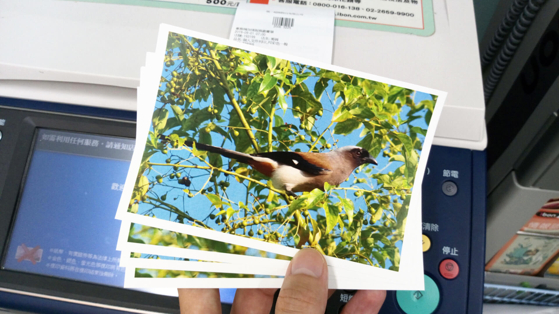 【ibon照片列印教學】快速掌握ibon高品質照片輸出秘訣