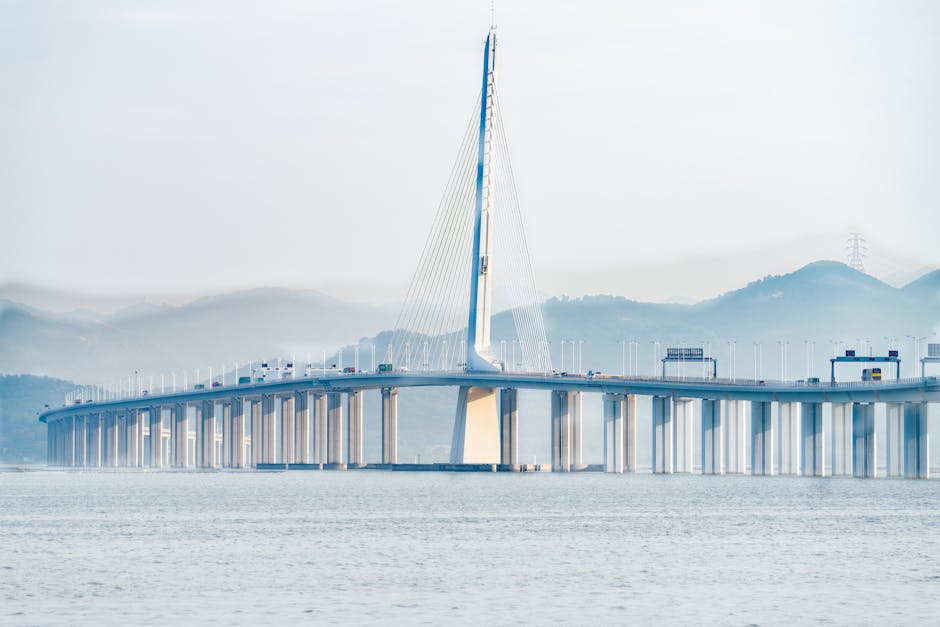 蝦皮海外物流查詢注意事項！高效追蹤包裹的完整教學