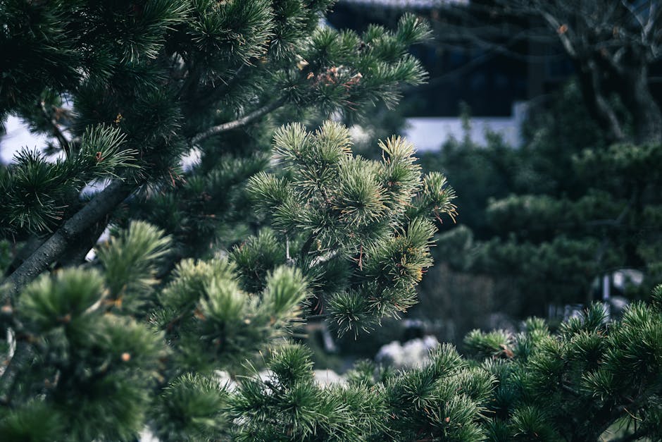 木漿紙 vs. 再生紙漿：環保與白度的抉擇——紙張選擇指南