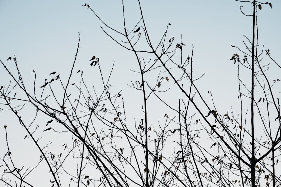 7-11包裹寄件尺寸規定懶人包：105公分總和、5公斤重量限制