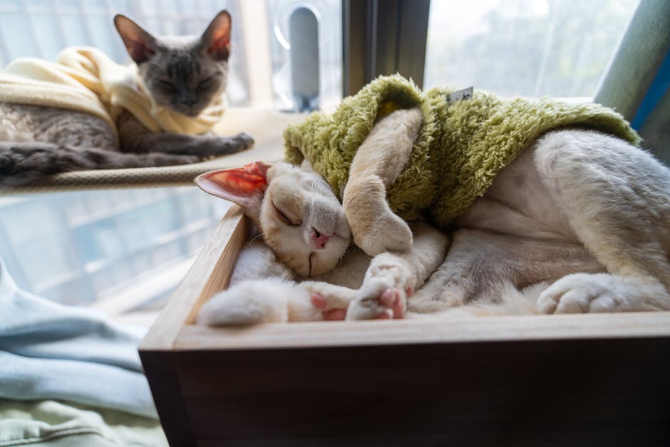 蝦皮7-11交貨便包裹尺寸知多少？新手賣家必看！