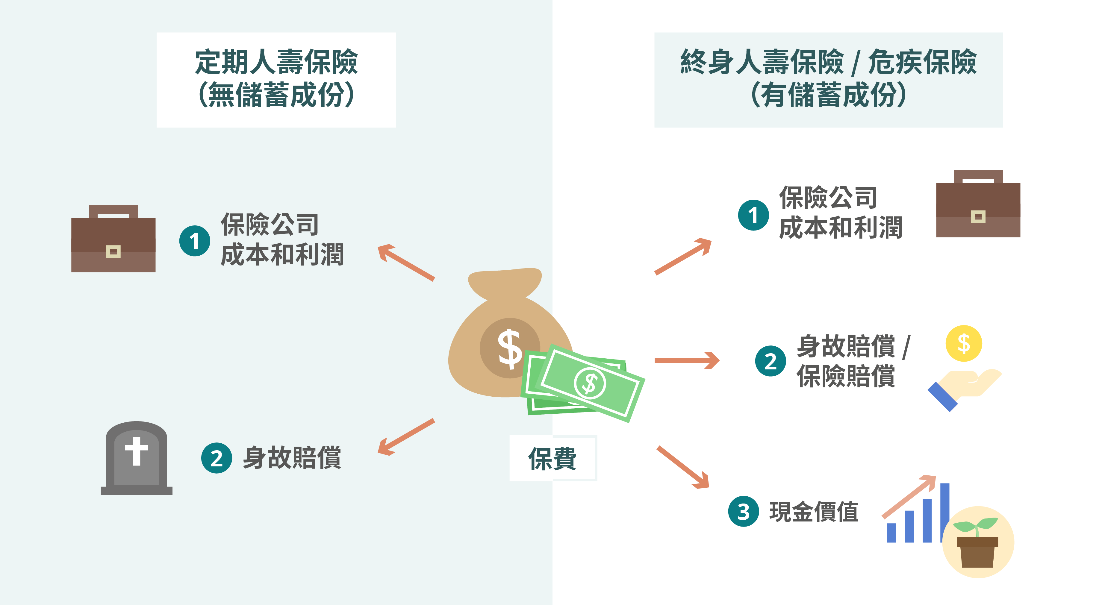 人壽保險與定期壽險大不同！專家解析，助你挑對保障