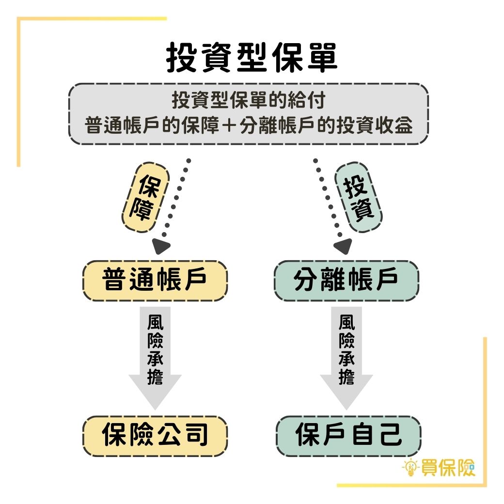 投資型保單 vs. 基金投資：風險與保障大不同