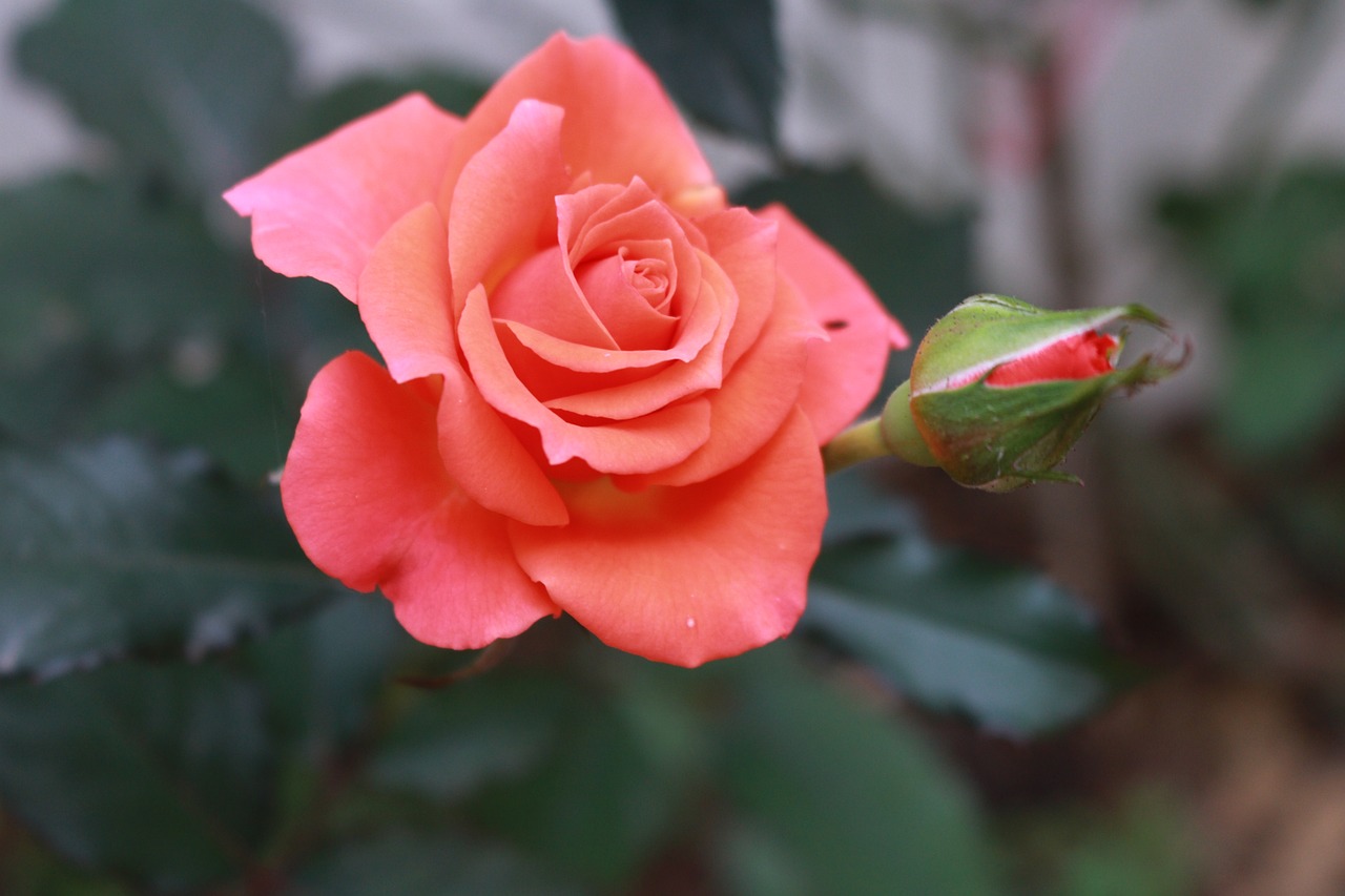 投資型保單的最低保障利率有何優勢？穩健收益的秘密武器！