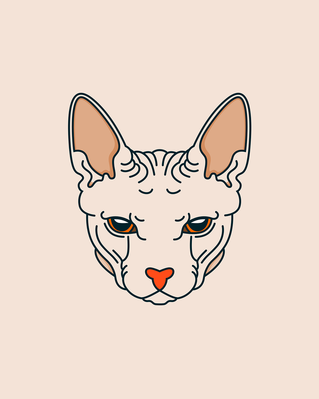 車險的保費如何根據車齡變化？省錢秘訣大公開！