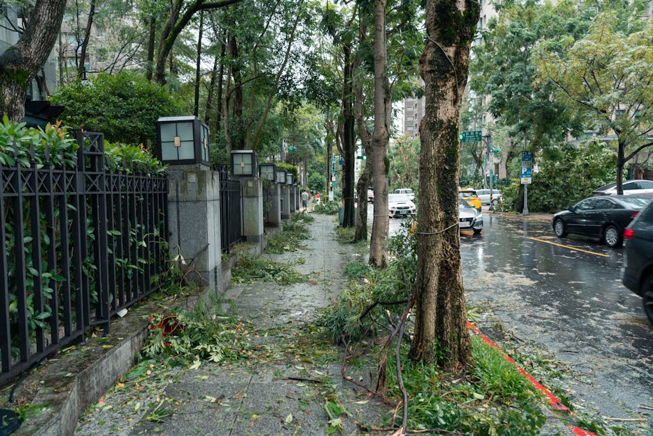 意外險如何理賠高風險活動引發的傷害？高效攻略及風險管理秘訣