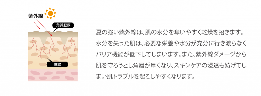 紫外線ダメージを修復するスキンケア｜効率的な肌再生メソッド