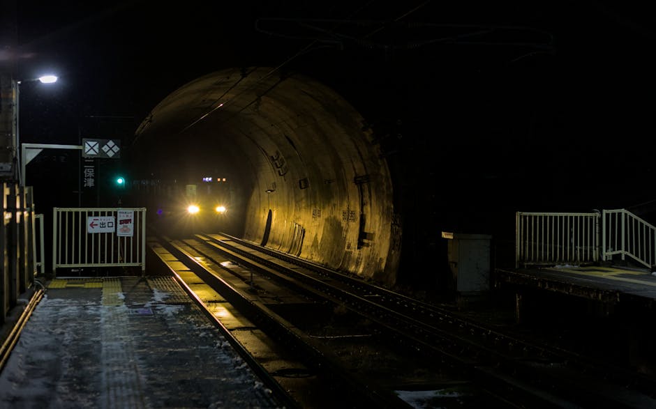 朝鮮薊：抗氧化奇蹟，提升免疫、保肝護腸