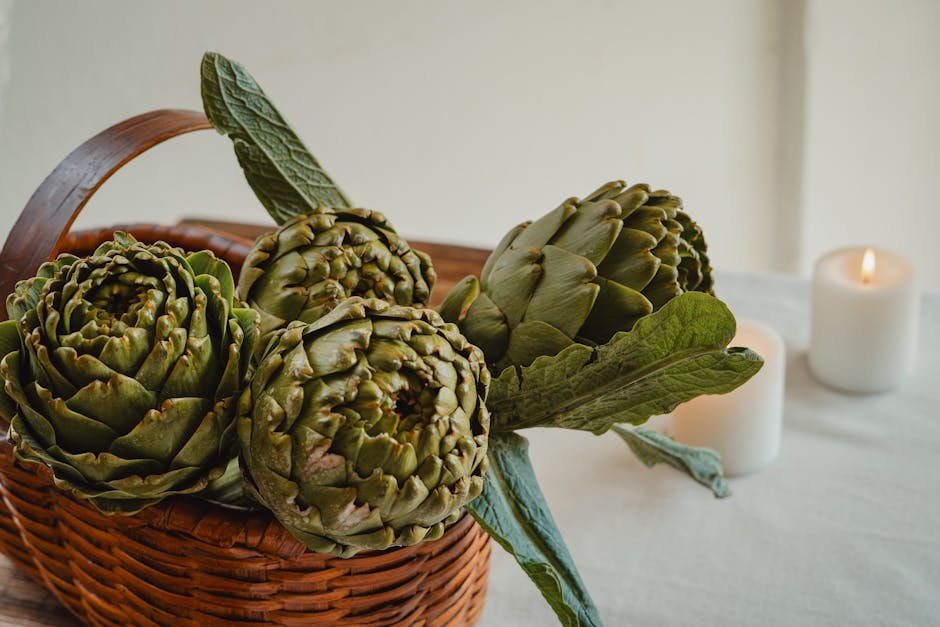 朝鮮薊對抗疲勞的絕招：提升新陳代謝，補充能量