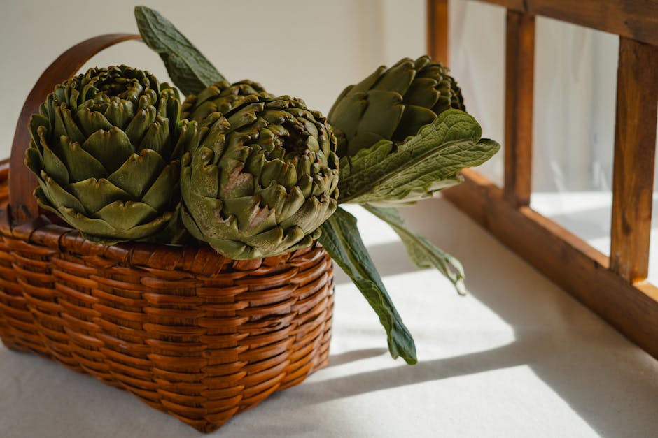 朝鮮薊抗炎特質 慢性疾病的天然防護罩