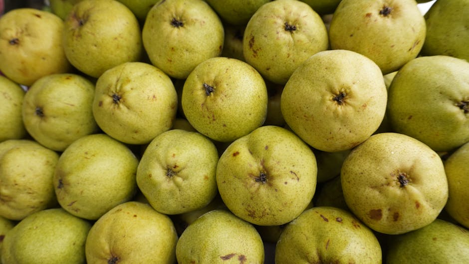 酪梨如何保存？切開後保鮮秘笈大公開！