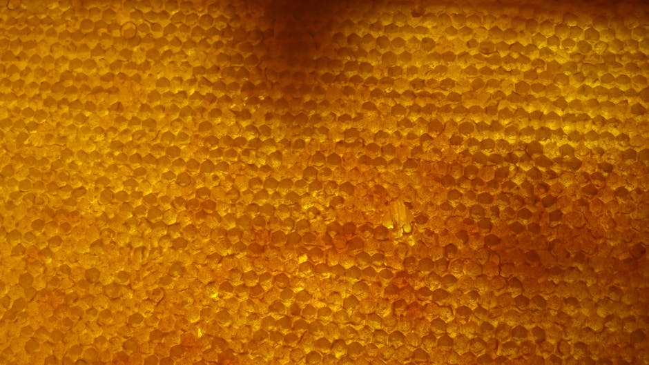 肌醇改善多囊性卵巢症候群：提升卵巢功能，增加懷孕機會